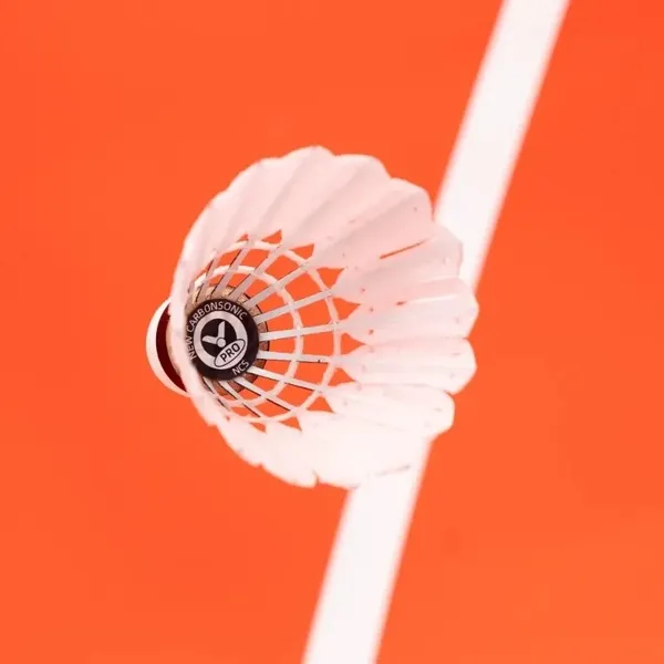 ビクター 人工シャトル「NCS Pro」を上から見た写真（羽根とコルクのシール）